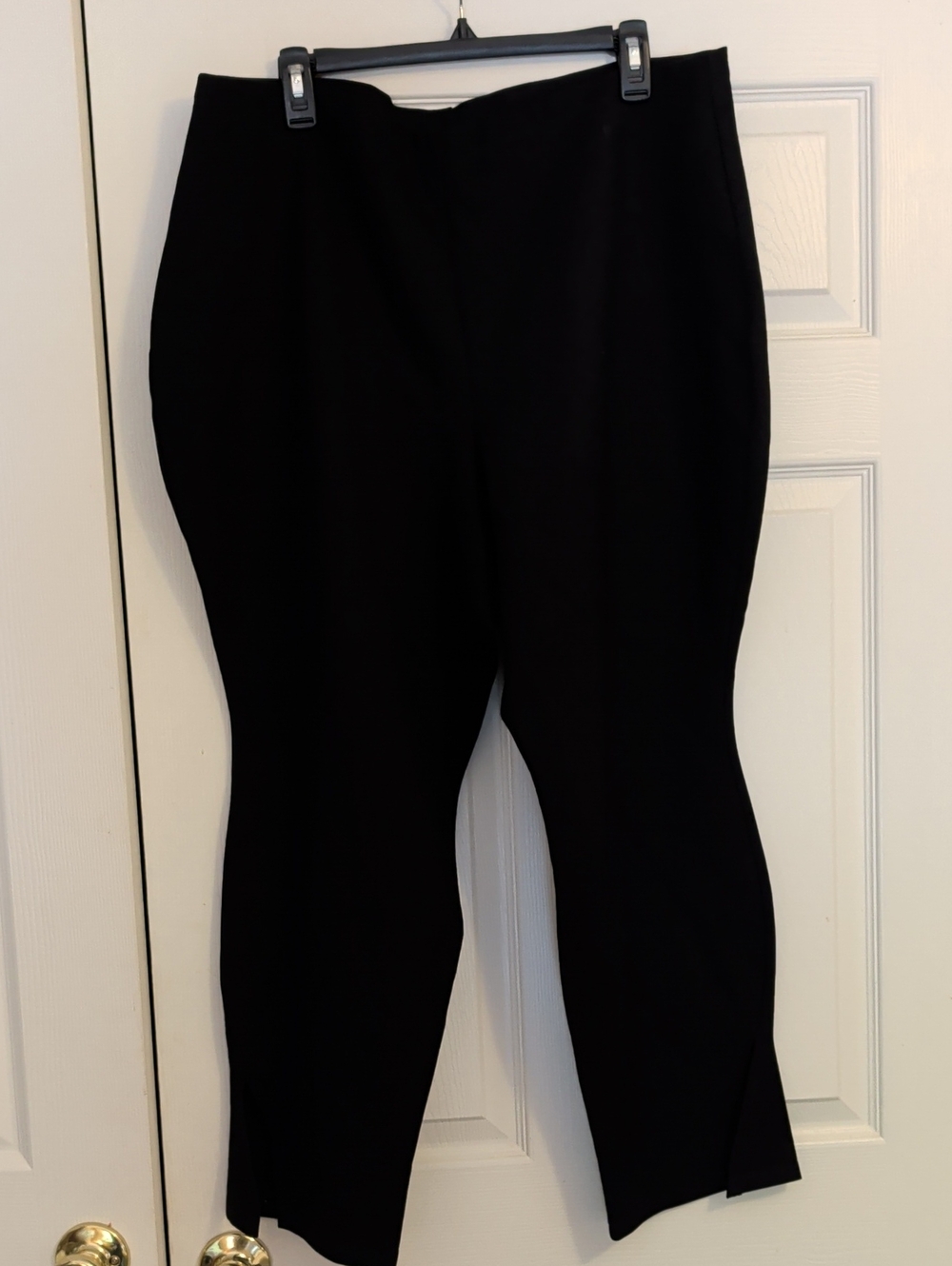 MODERN CITIZEN Dress Pants NWOT